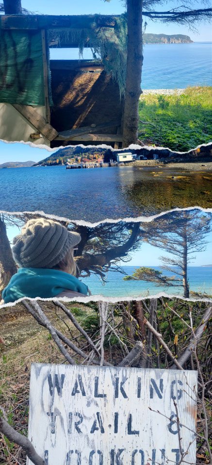 Explore photograph from the original Beachside website