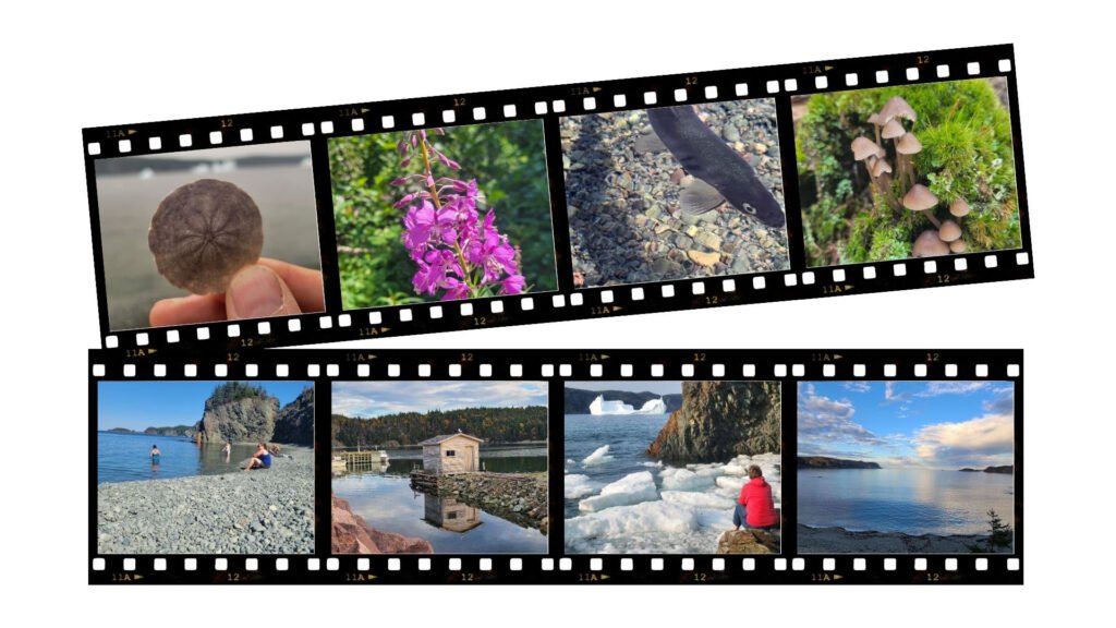 About Beachside photograph from the original Beachside website